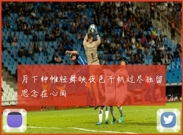 月下钟帷轻舞映夜色千帆过尽独留思念在心间