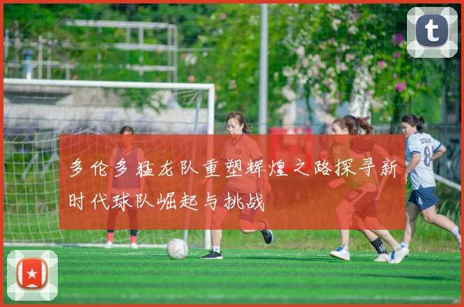 多伦多猛龙队重塑辉煌之路探寻新时代球队崛起与挑战