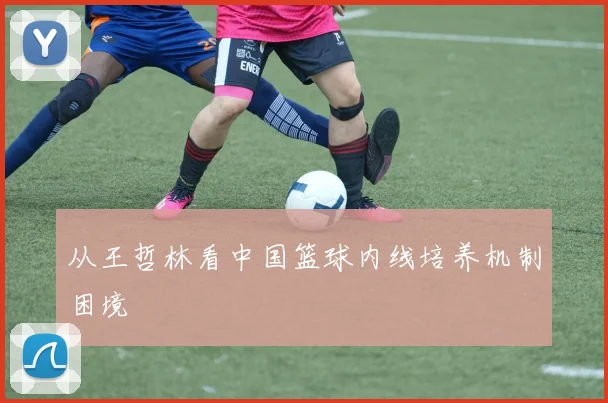 从王哲林看中国篮球内线培养机制困境