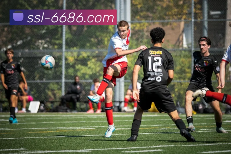 即时体育比分解析与精彩赛事回顾 让你不错过每一场关键对决