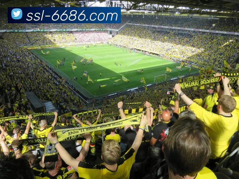 6686官网APP 高清赛事图